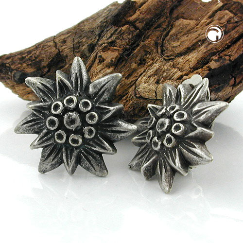 Clip-on earrings Fashion Jewellery