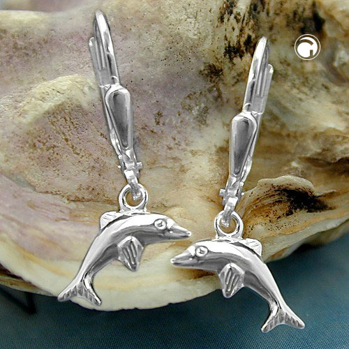 Leverback/Hook earrings Silver 925