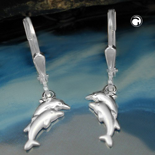 Leverback/Hook earrings Silver 925
