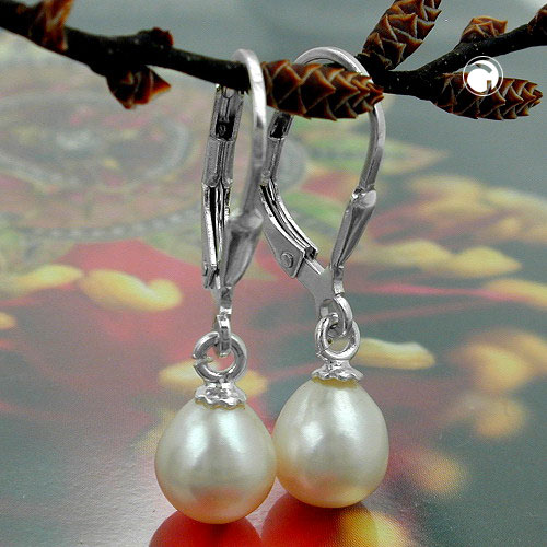 Leverback/Hook earrings Silver 925