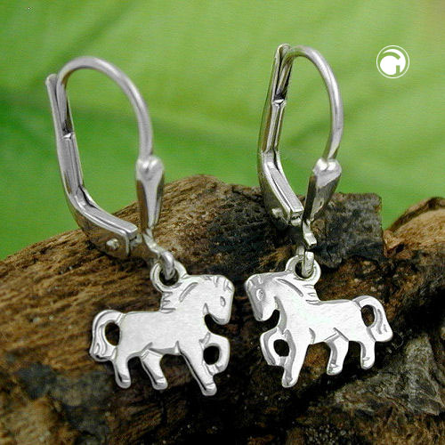 Leverback/Hook earrings Silver 925