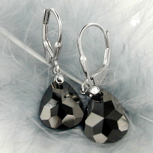 Leverback/Hook earrings Silver 925