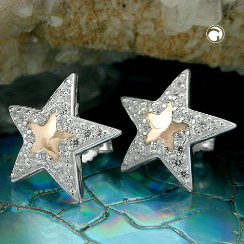 Studs zirconia Silver 925
