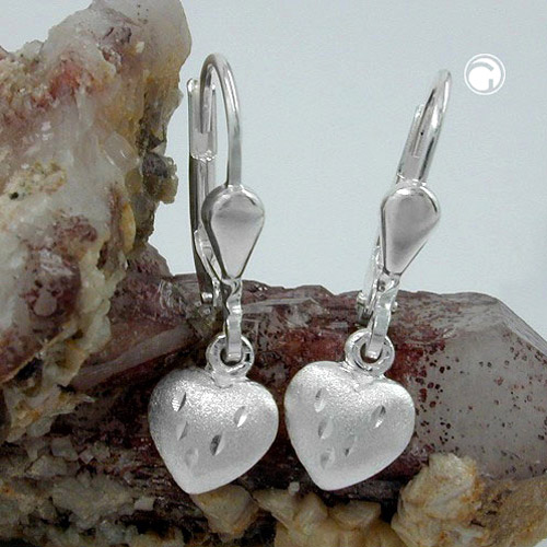 Leverback/Hook earrings Silver 925