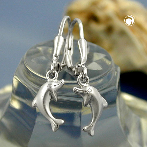 Leverback/Hook earrings Silver 925