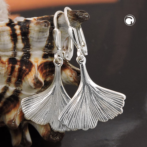 Leverback/Hook earrings Silver 925