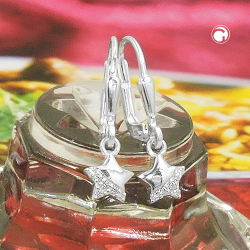 Leverback/Hook earrings Silver 925