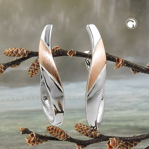 Hoop earrings Silver 925