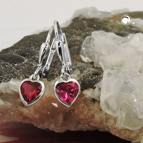 Leverback/Hook earrings Silver 925