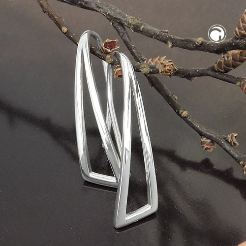 Leverback/Hook earrings Silver 925